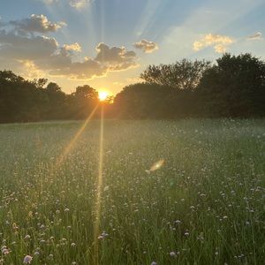 Meet your posher, Morgan!